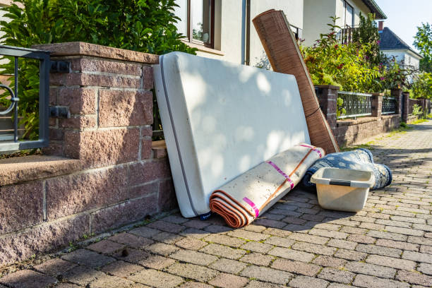 Yard Cleanup Services in Stem, NC